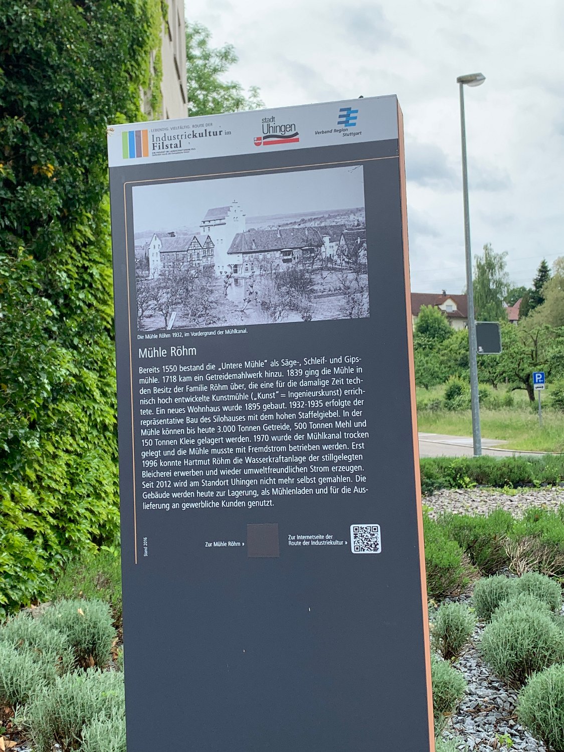 250525Uhingen_HV_Hauptverein (14).JPG